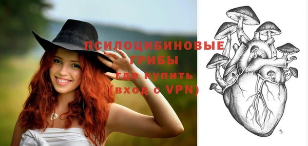 mdpv Лагань