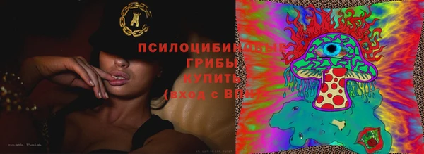 Альфа ПВП Ладушкин