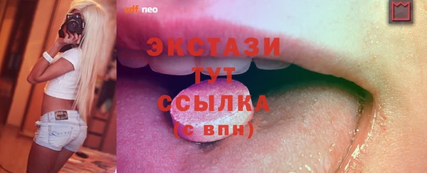 индика Богородск