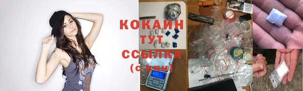 Альфа ПВП Ладушкин