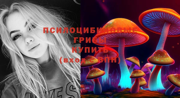 Альфа ПВП Ладушкин