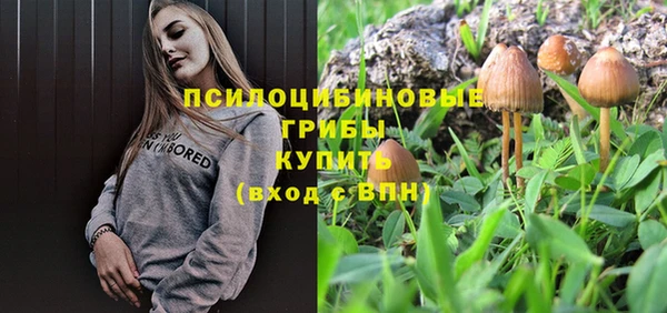 mdpv Лагань