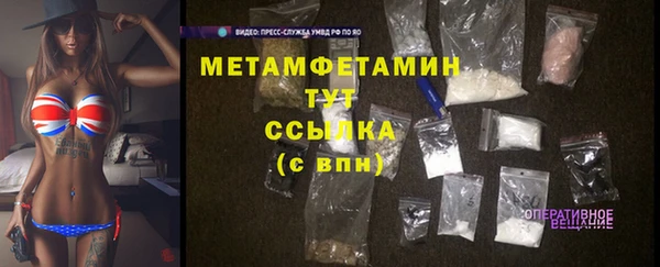 индика Богданович